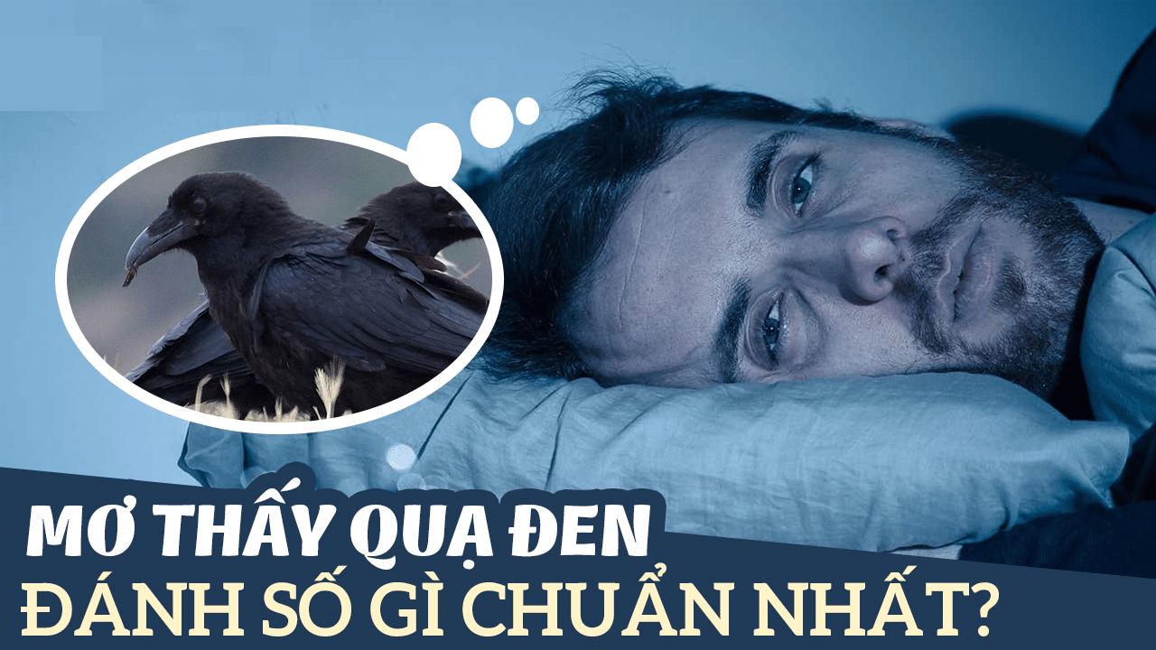 mơ thấy quạ đen đánh con gì chuẩn nhất