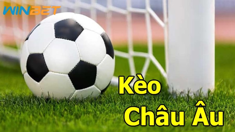 Cách đọc kèo châu âu bất bại